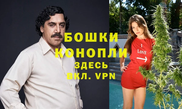 Альфа ПВП Алексин