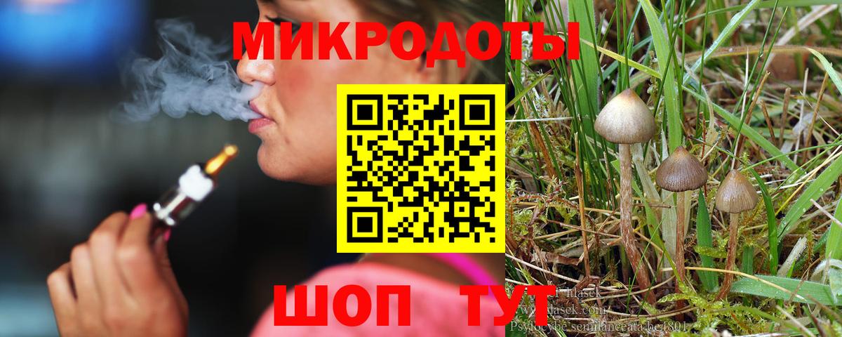 Комсомольск-на-Амуре  Псилоцибиновые грибы MAGIC MUSHROOMS  Псилоцибиновые грибы Psilocybe  где можно купить наркотик  Вход с VPN 