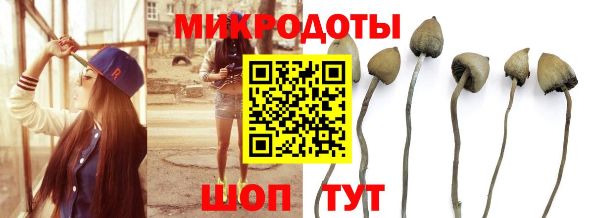 Галлюциногенные грибы прущие грибы Комсомольск-на-Амуре